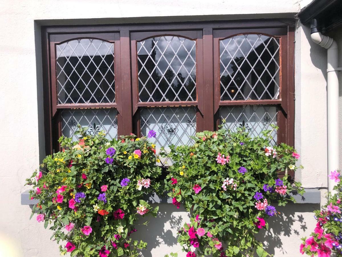 Chester Beatty Inn Ashford 외부 사진
